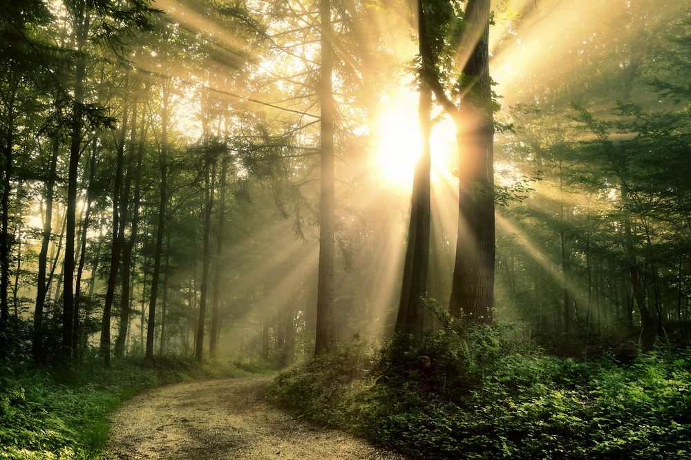 Photograph by Wymann Elena