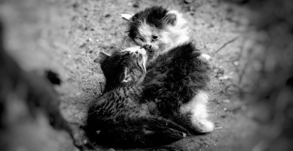 Photograph by Макс Полюхович