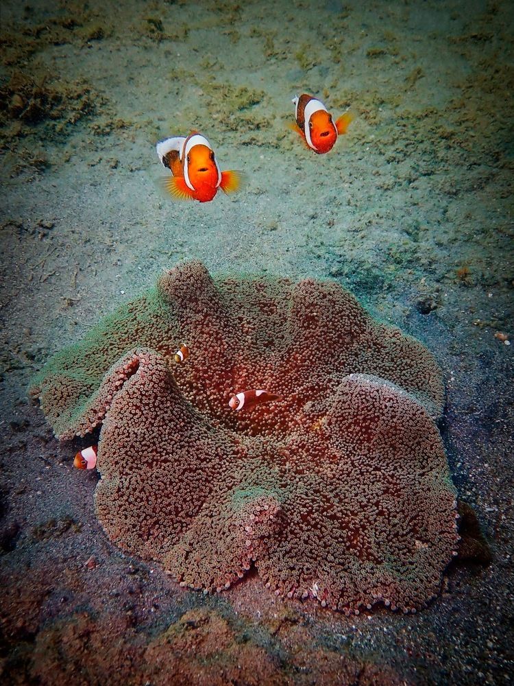 Photograph by Анна