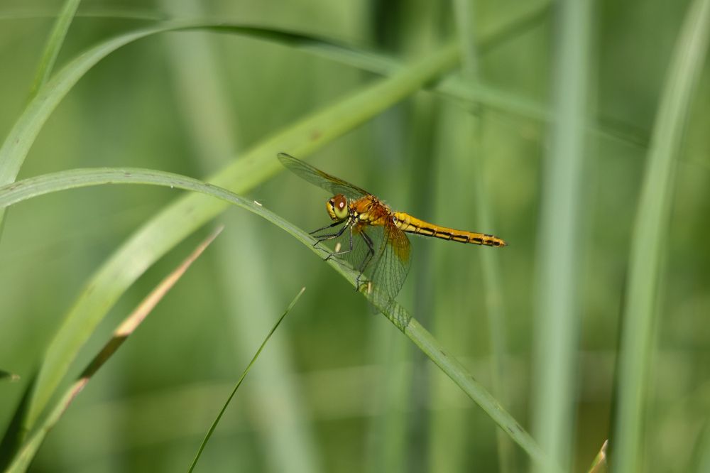 Photograph by Наталья Трифуз