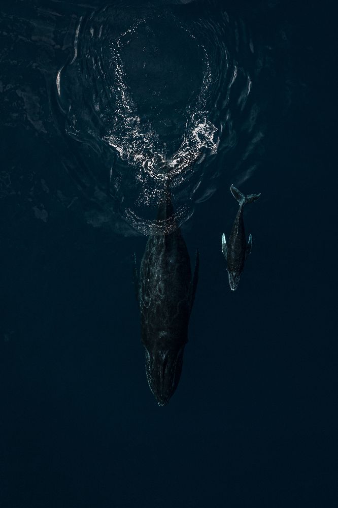 Photograph by Thien Nguyen Ngoc