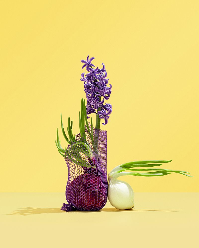 a better version of yourself