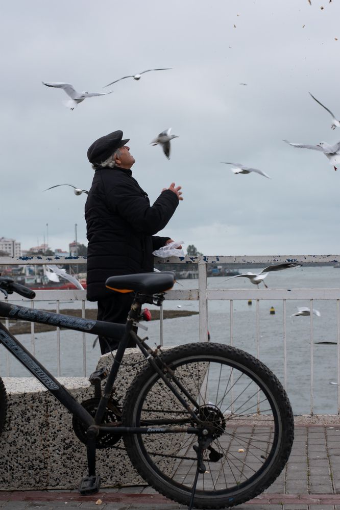 Photograph by Mina Mamdouhi