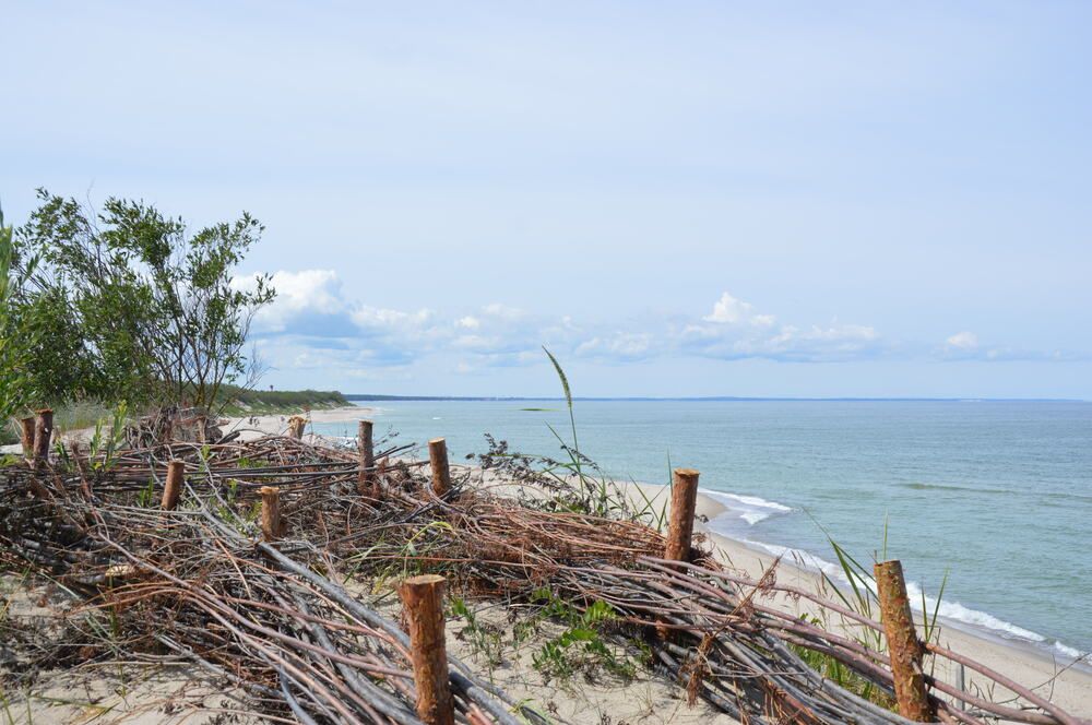 Фотография автора Artem Suloev