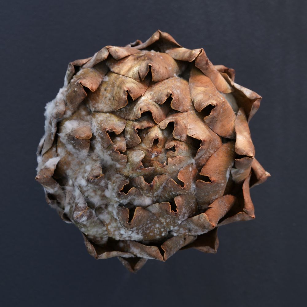 Photograph by Алина Еникеева