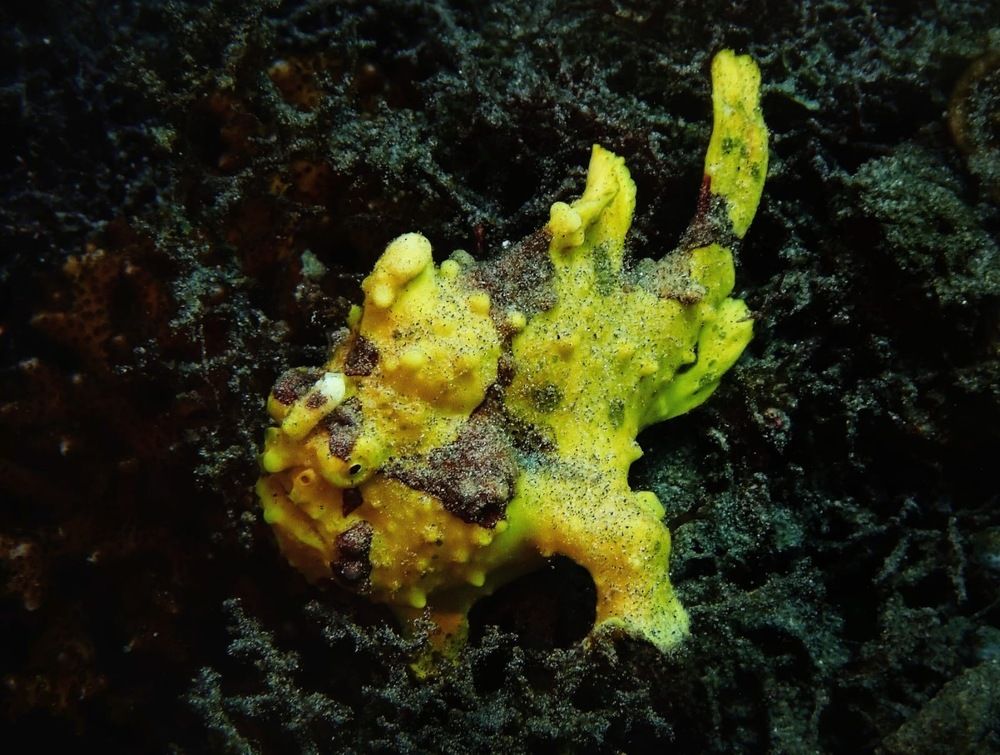 Photograph by Анна