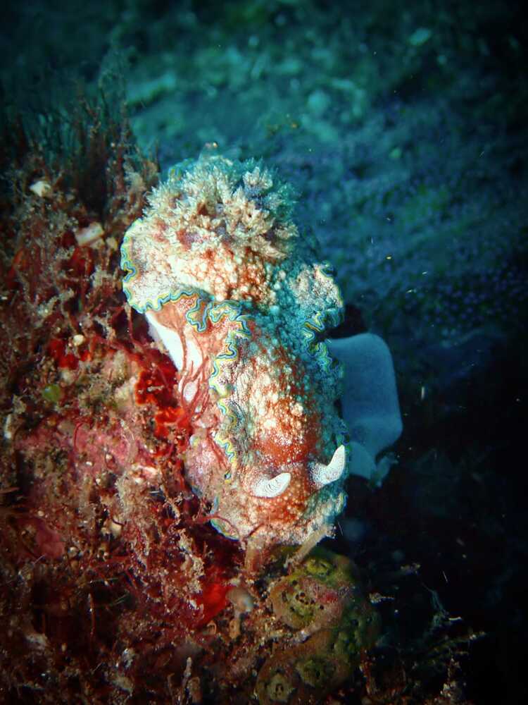 Photograph by Анна