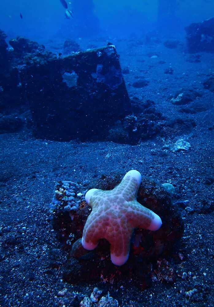 Photograph by Анна