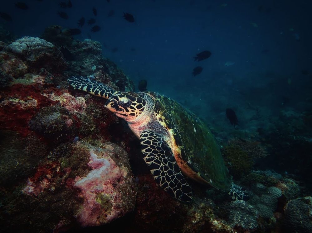 Photograph by Анна