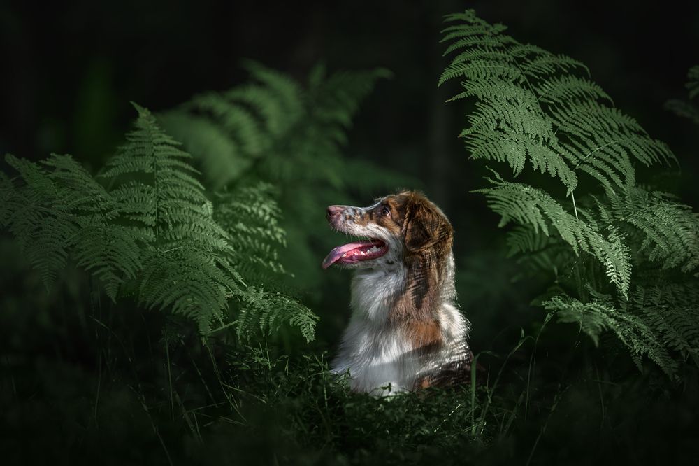 Photograph by Lucie Nermuťová