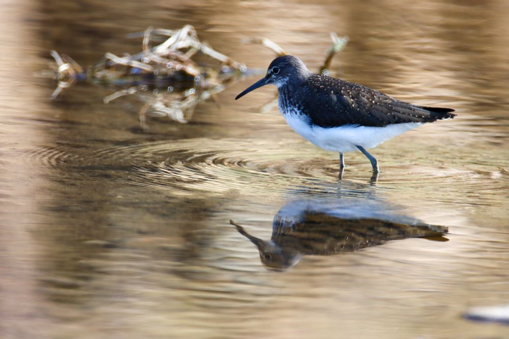 Photograph by Наталья Трифуз