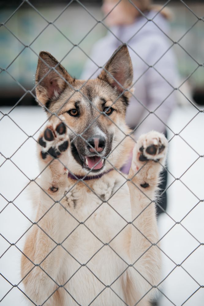 Photograph by Natasha Stugireva