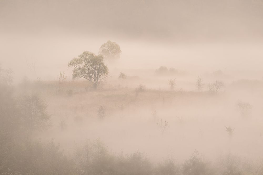 Photograph by Елена Головкина