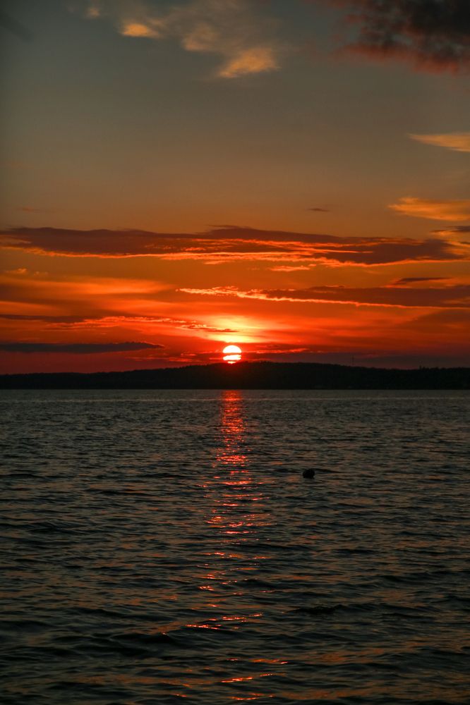 Photograph by Marina Gerashchenko