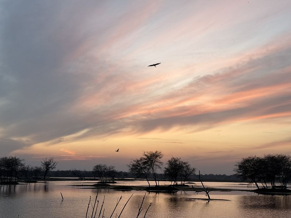 Фотография автора BIPLAB MISRA