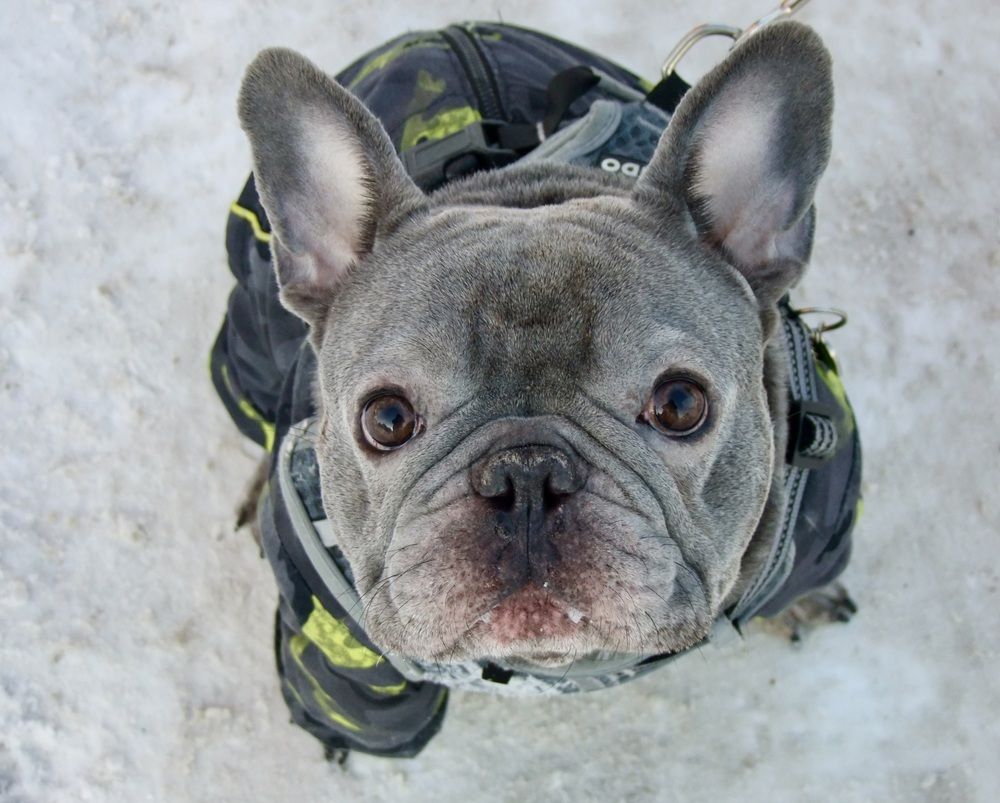 Photograph by Татьяна Шитлина