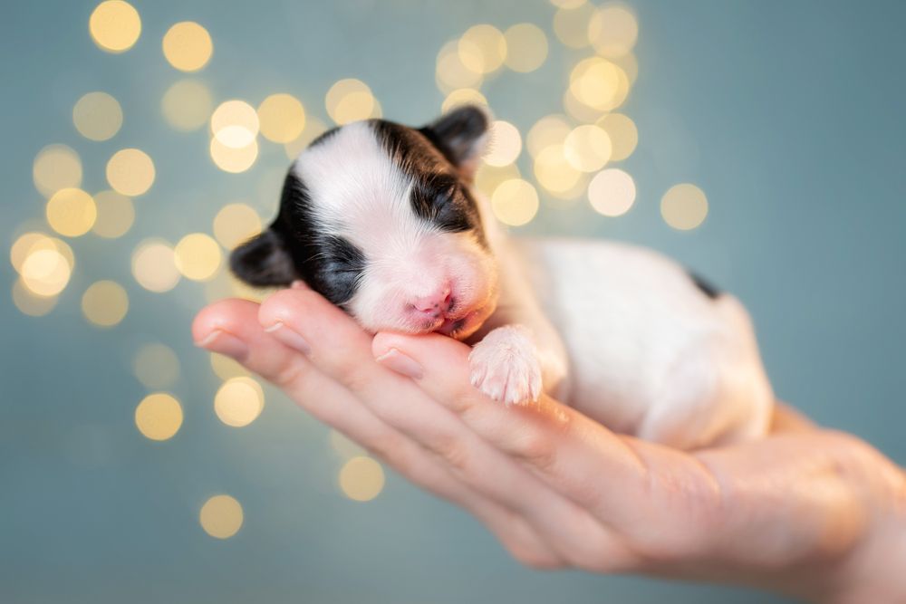 Photograph by Мария Иванушкина