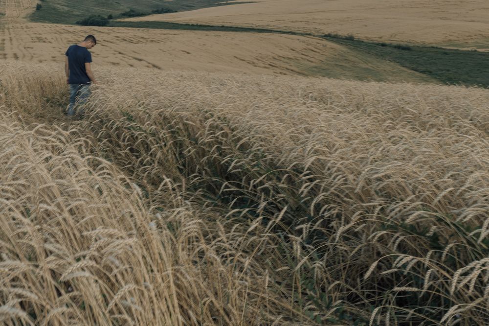 Photograph by Алина Бояринова