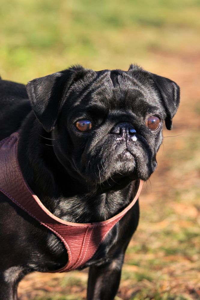 Photograph by Наталья Веснина