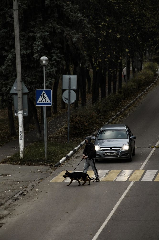 Photograph by Анастасия Псарёва