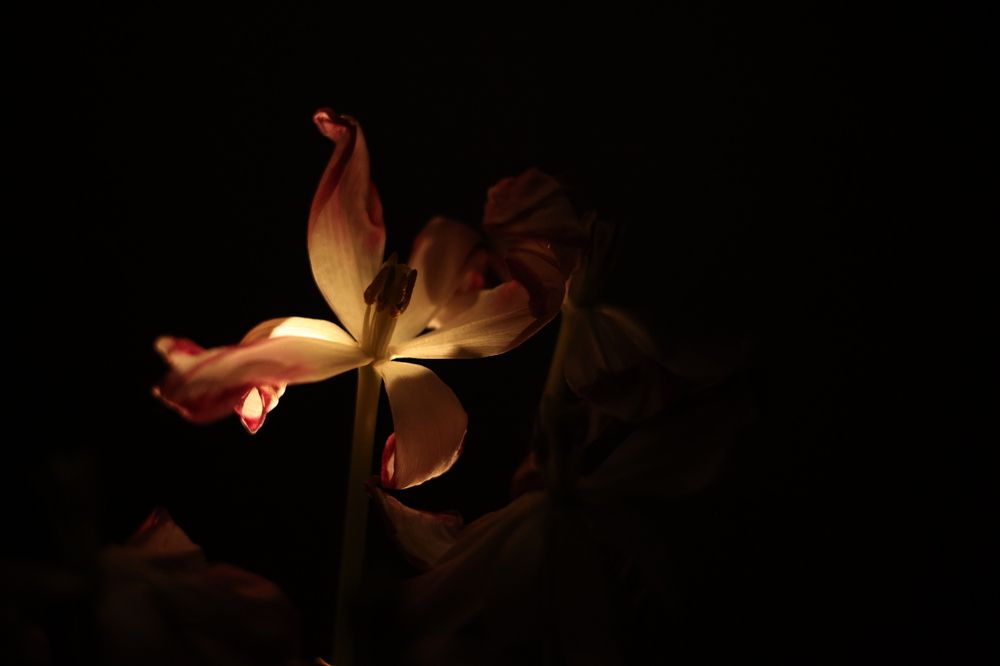 Photograph by Алеся Маклакова