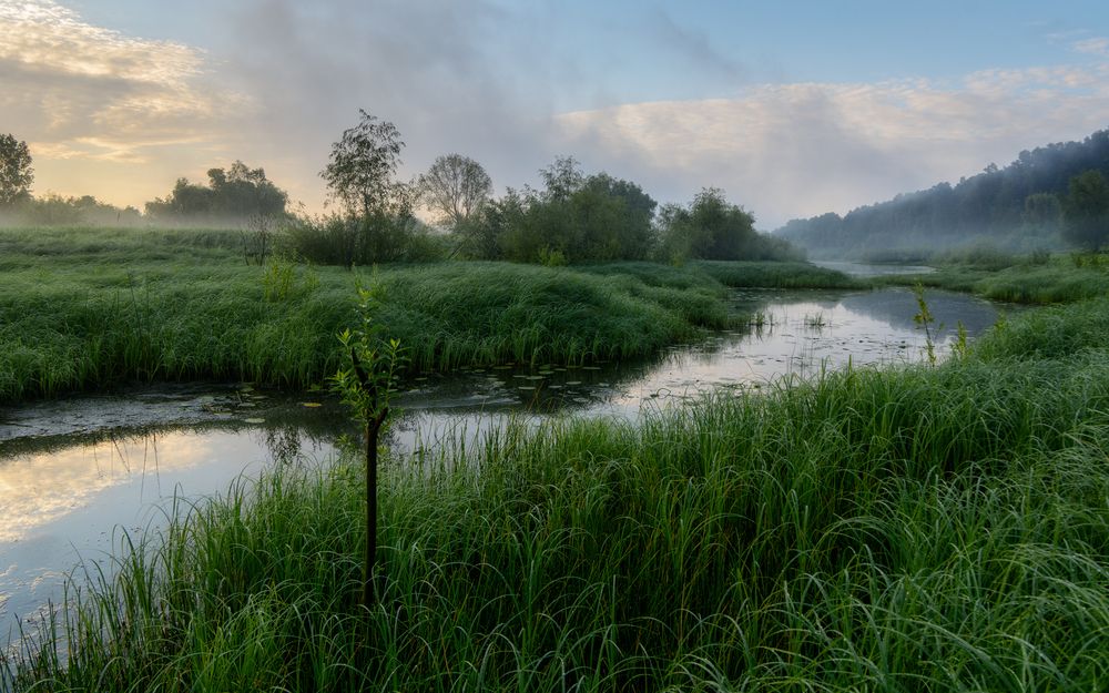 Photograph by Сергей Дишук