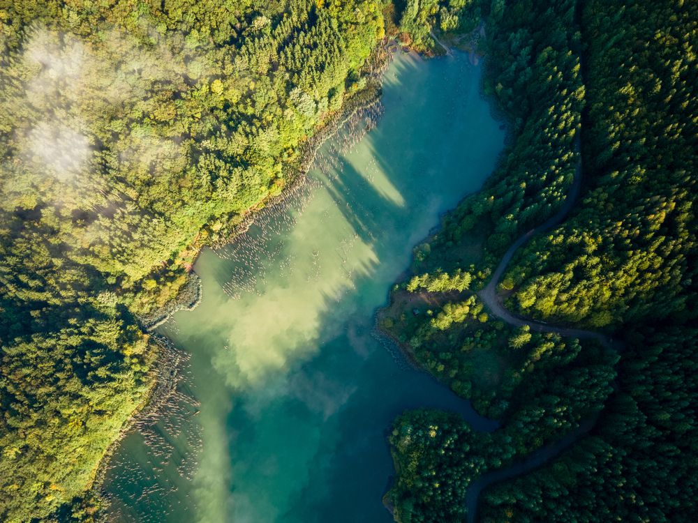 Фотография автора Bogdan Barbulescu