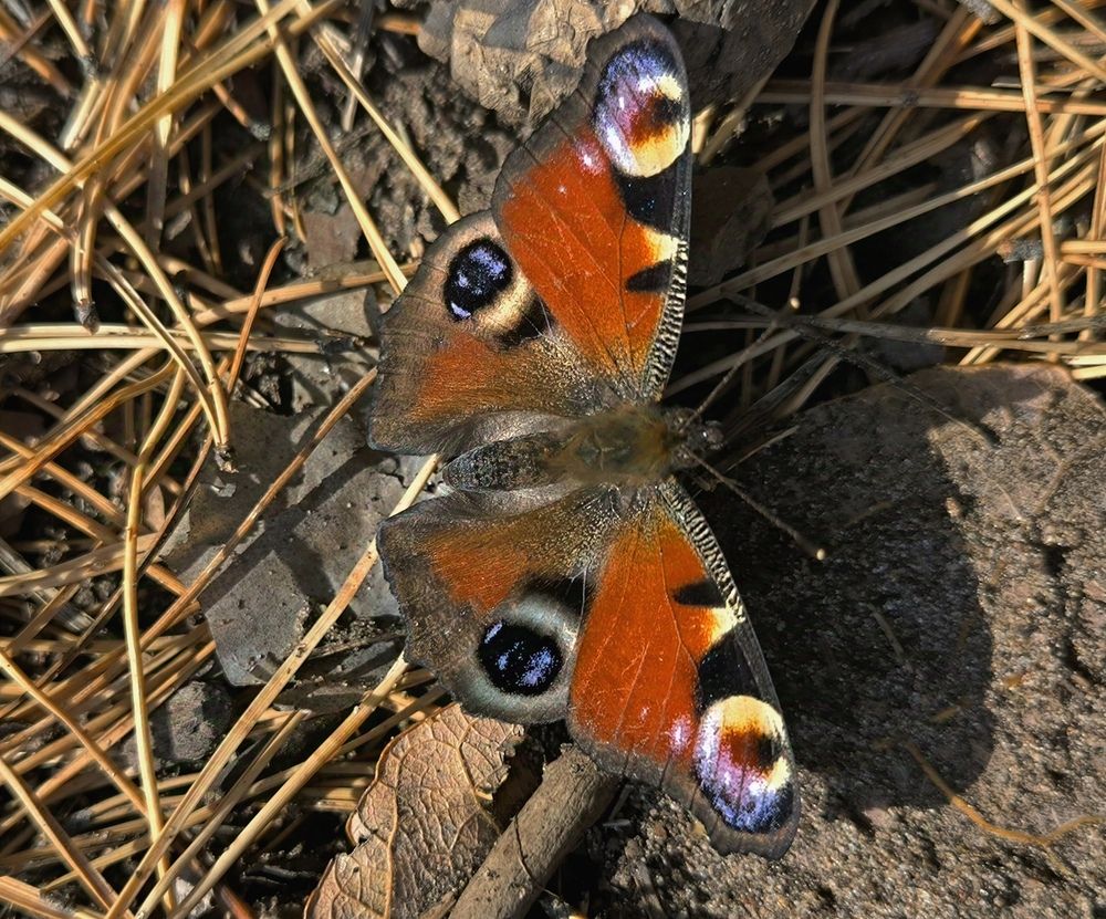 Photograph by Денис Хасанов