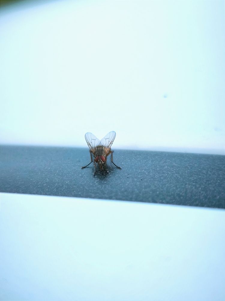 Photograph by Денис Хасанов