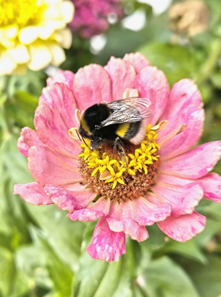 Photograph by Денис Хасанов