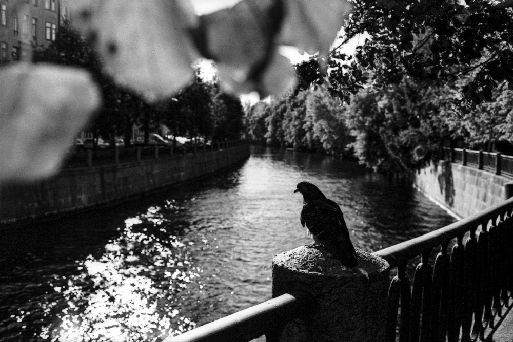 Photograph by Nikitin Igor