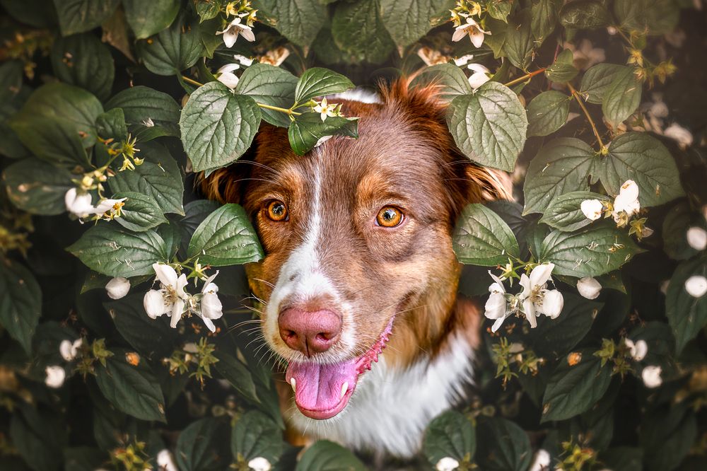 Photograph by Lucie Nermuťová