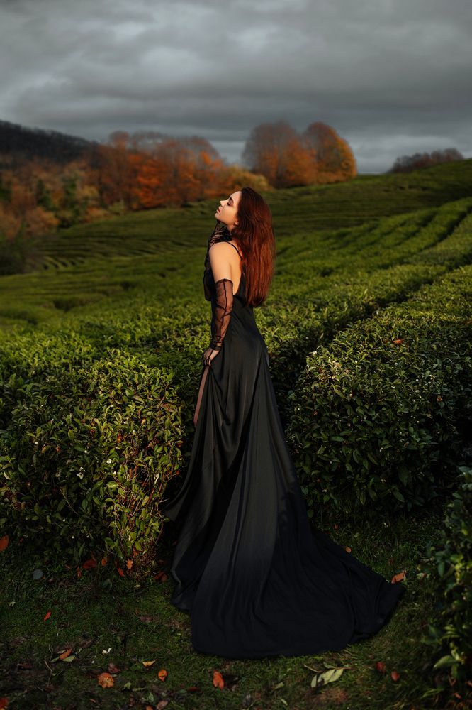 Photograph by Дарья Колесник