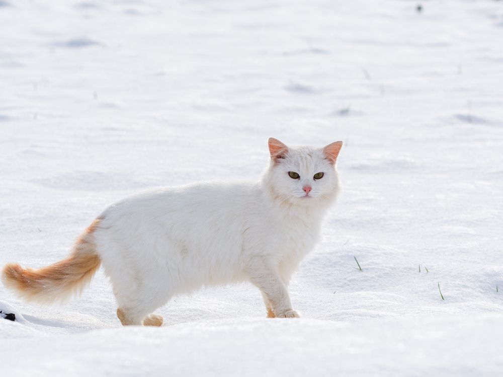 Photograph by Анастасия Гурова