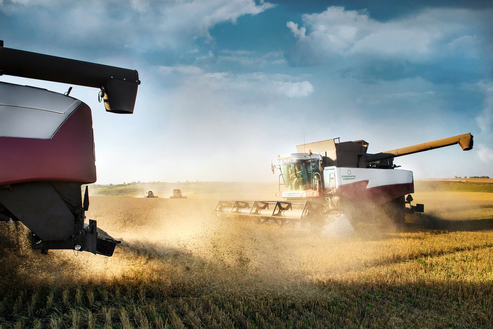 Фотография автора Чихняев Максим