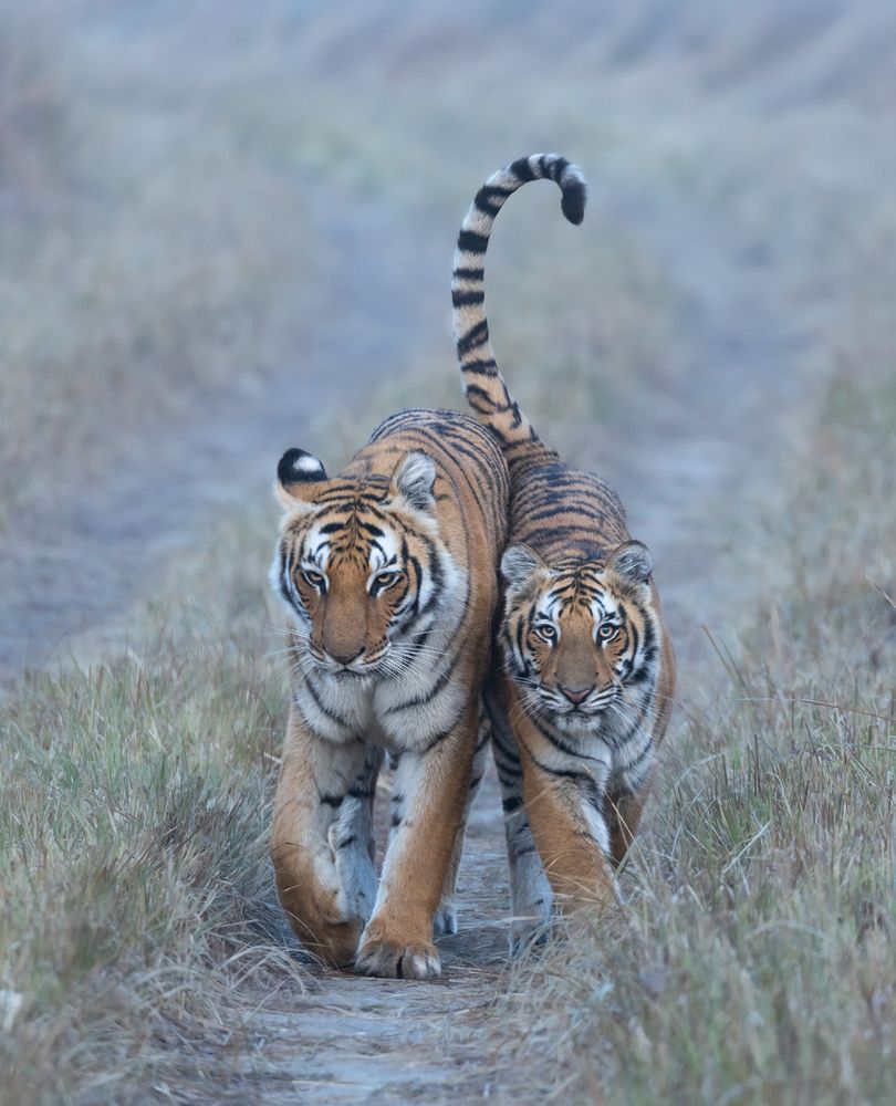 Photograph by Sonika Sharma