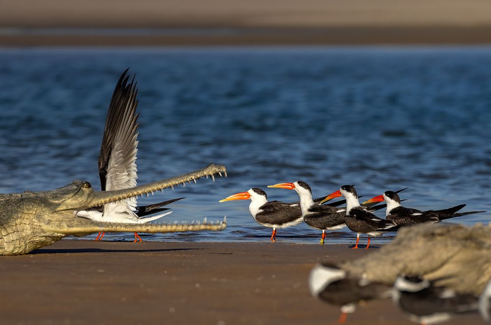 Photograph by Sonika Sharma