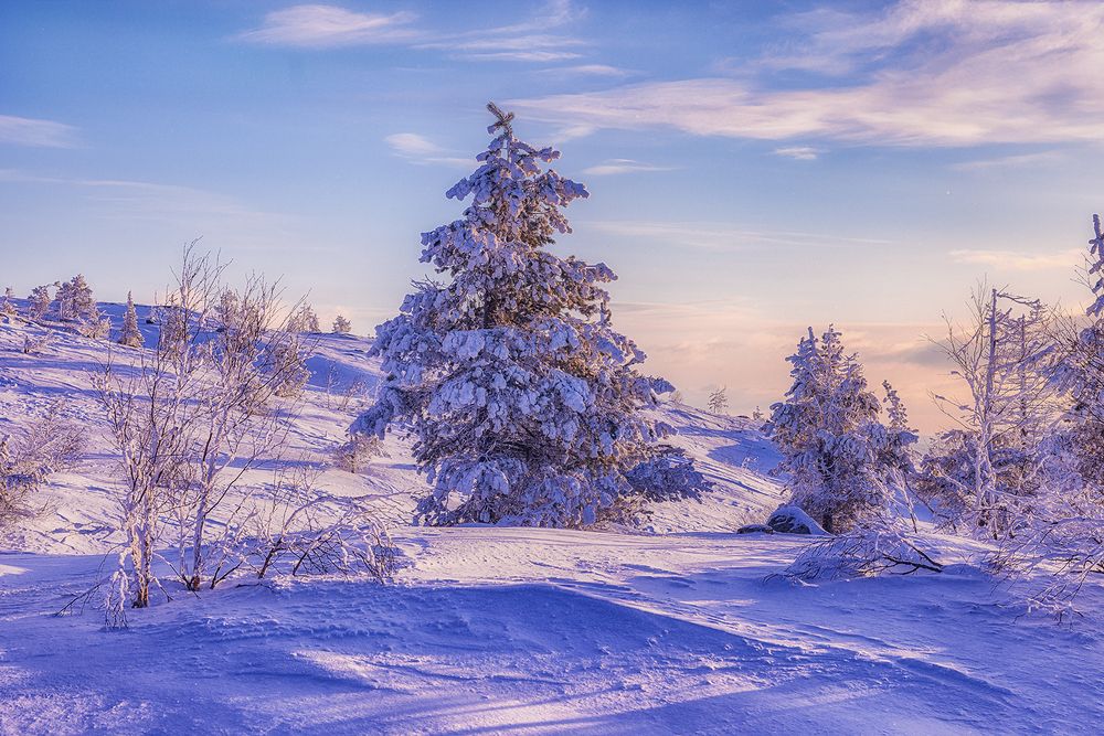 Photograph by Липецких Владимир