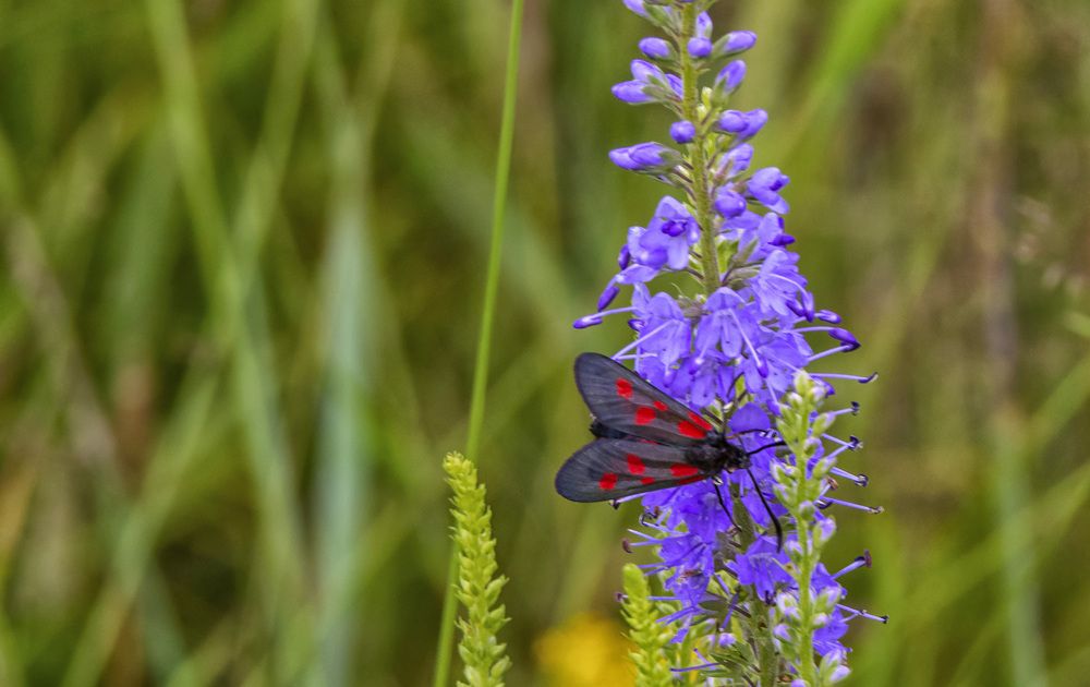 Photograph by Цветков Сергей