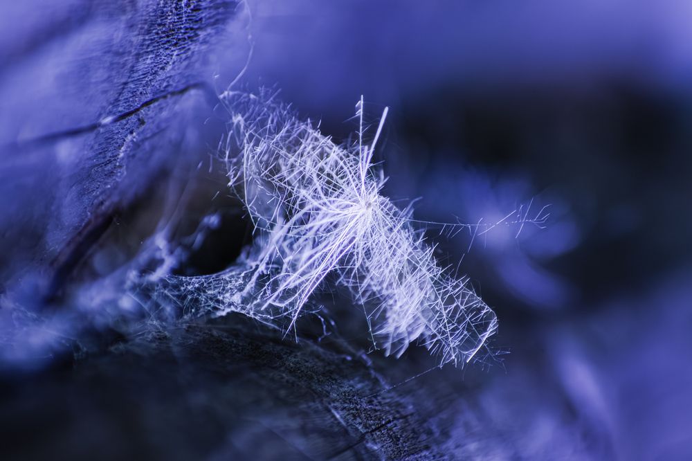 Photograph by Jana Špániková