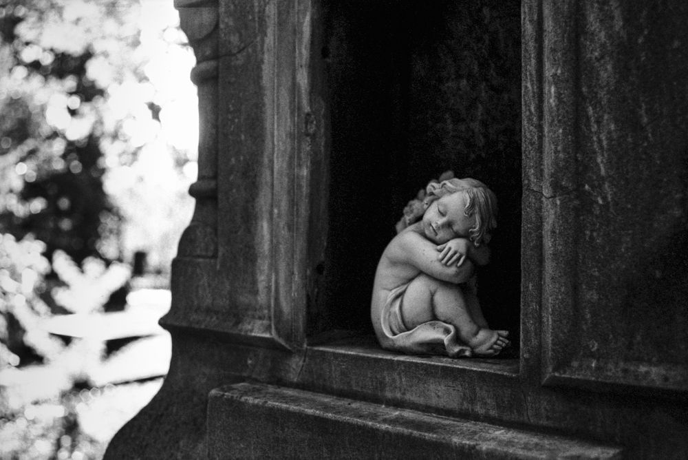 Photograph by Nikitin Igor