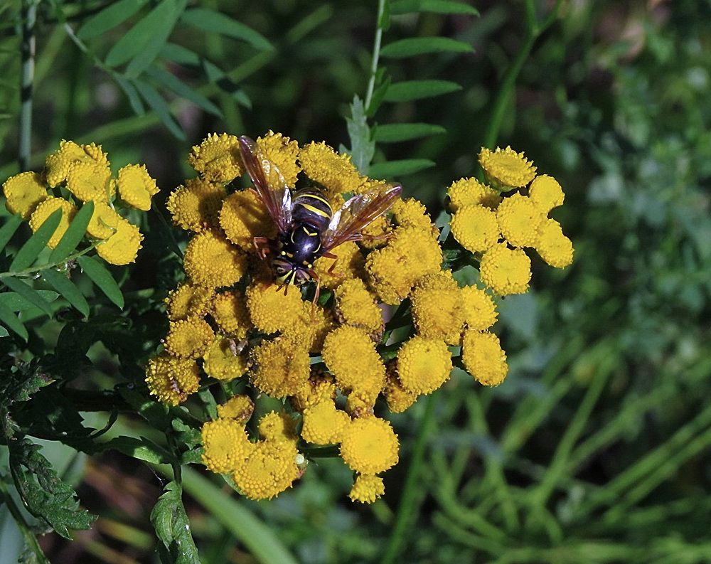 Photograph by Цветков Сергей