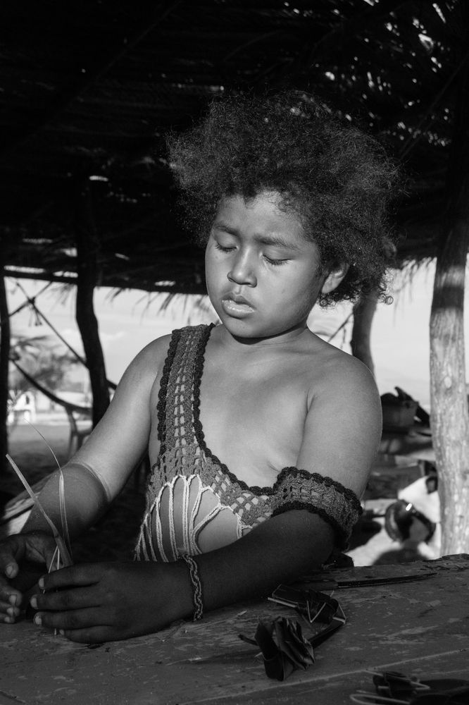 Clase de  Grillos de Palma