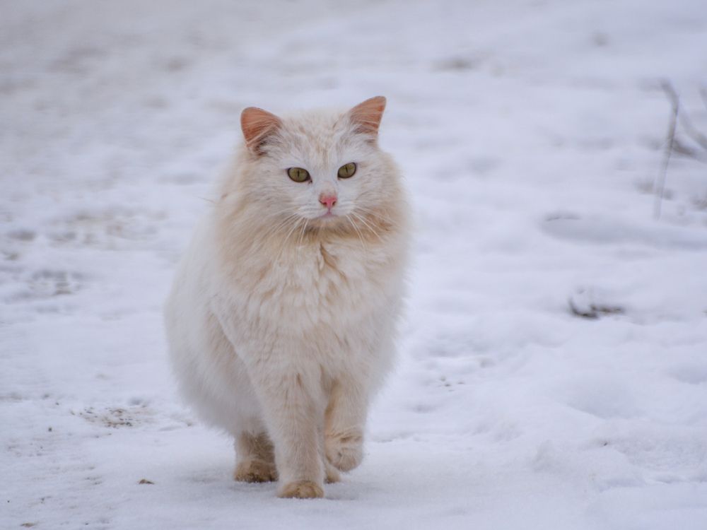 Photograph by Анастасия Гурова