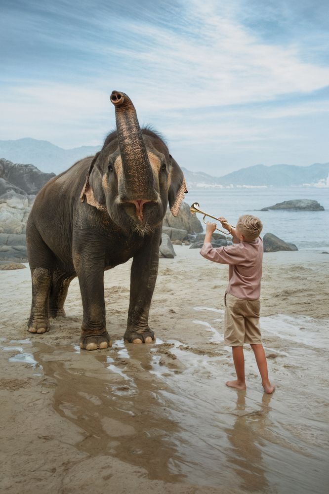 Photograph by Ольга Казакова