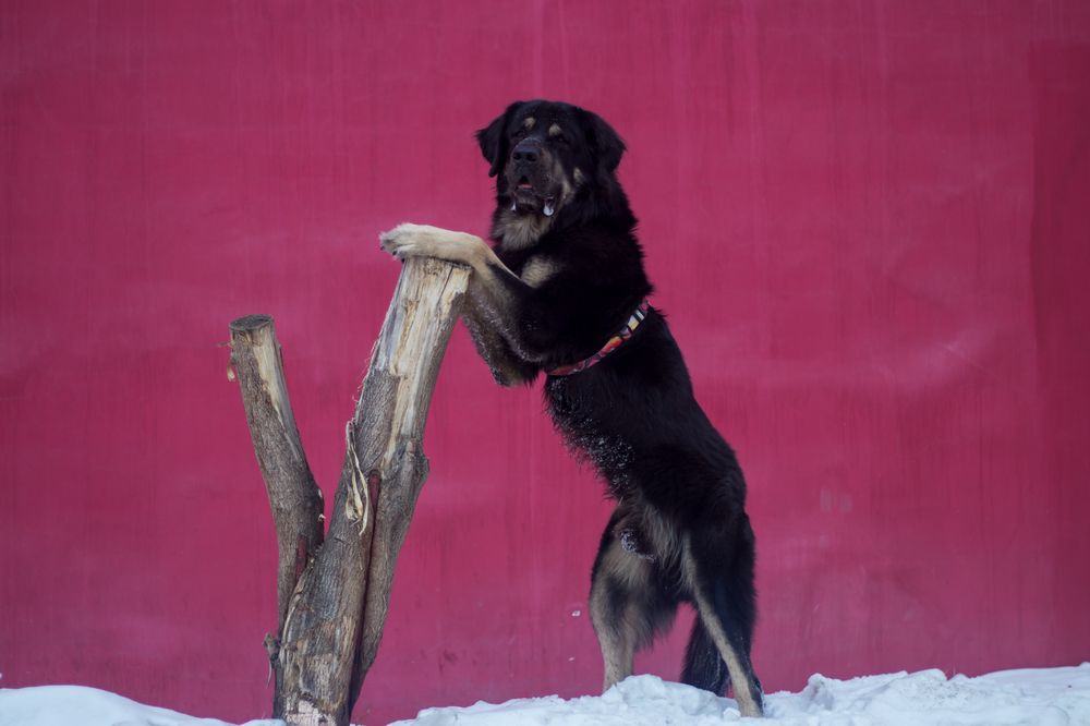 Photograph by Оля Пильвялене