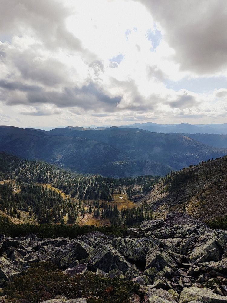 Photo #12035823