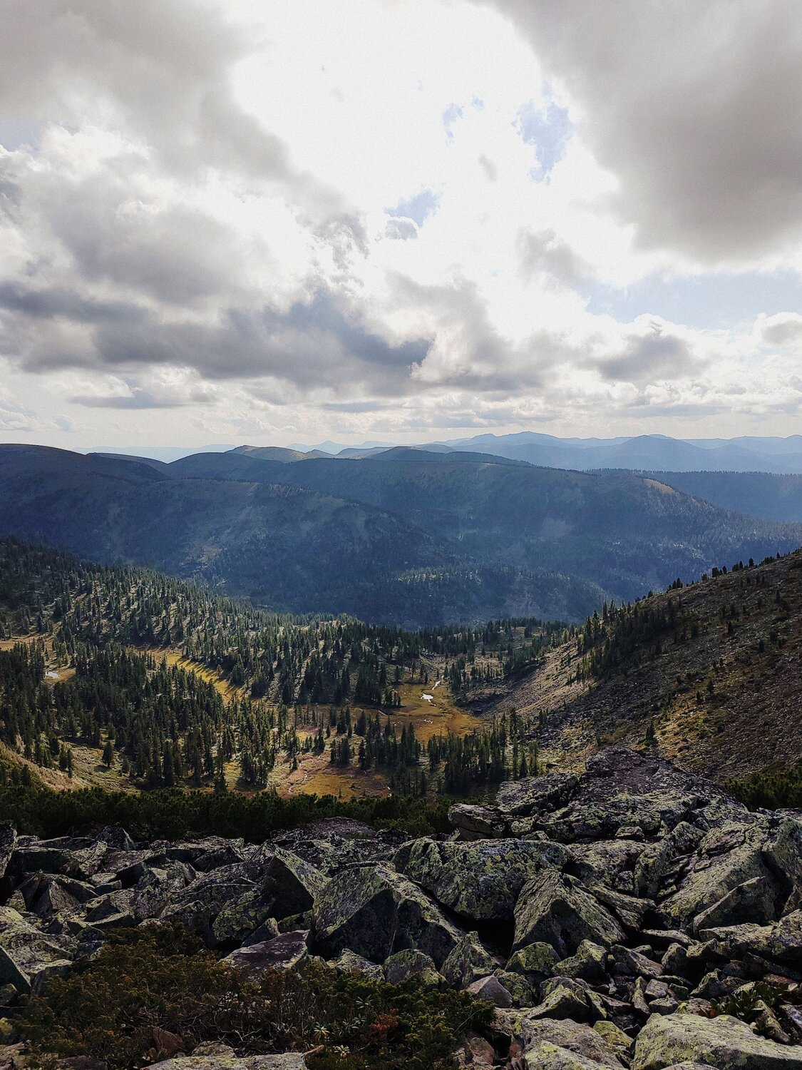 Photo #12035823