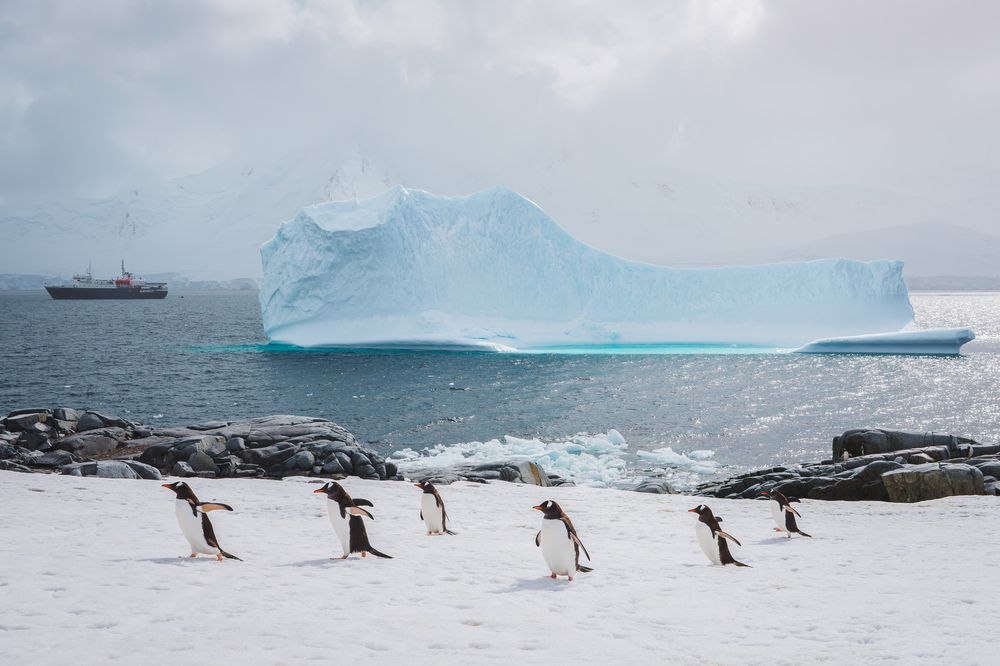 Photograph by Thien Nguyen Ngoc