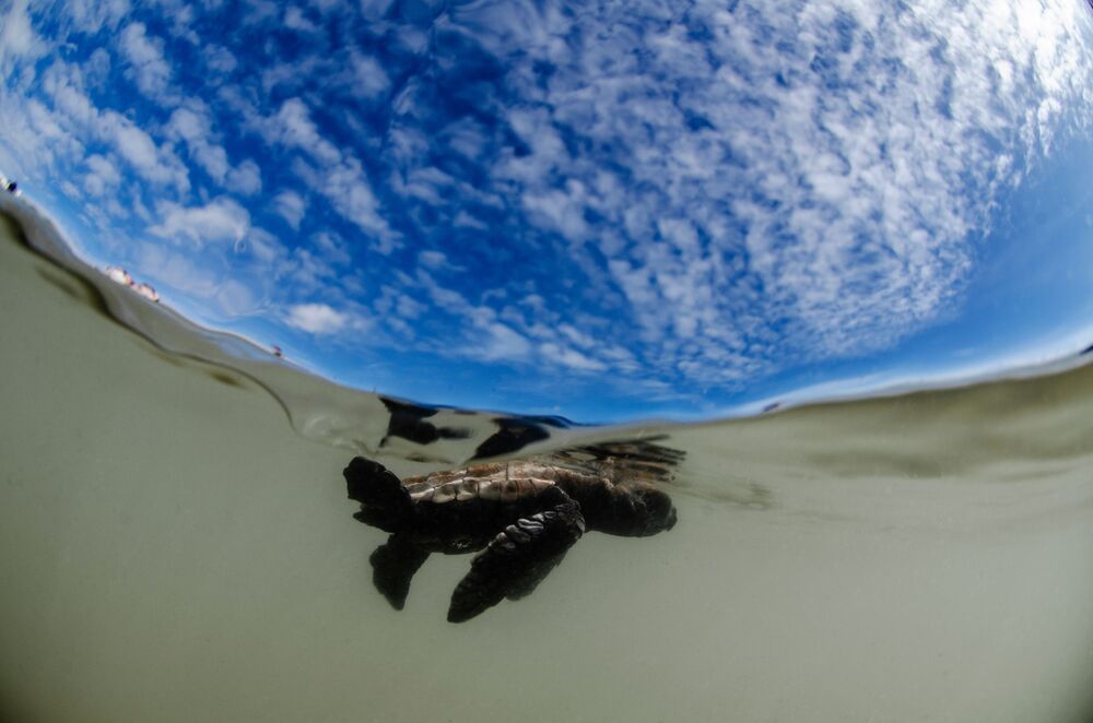 Photograph by ANTONIO RUVER BANDEIRA